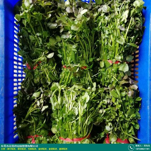 花觅茶餐厅 专业餐饮食材配送厂家价格解析与日常服务方案